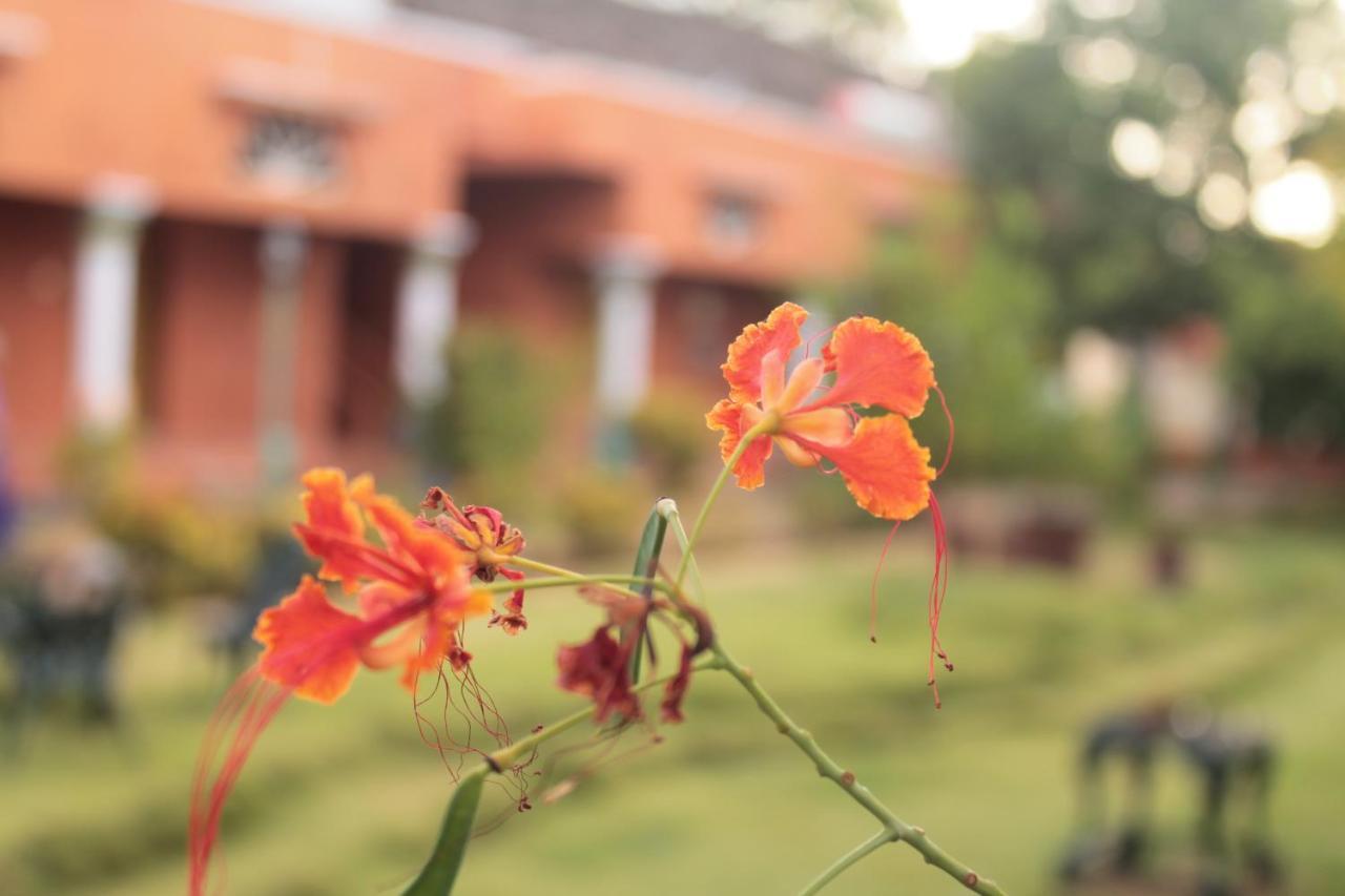 Chettinadu Court- Heritage View Kanadukattan Exterior photo